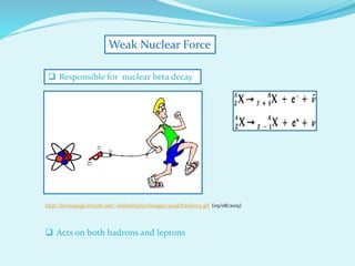 Weak Nuclear Force
 Responsible for nuclear beta decay
http://homepage.eircom.net/~louiseboylan/images/weak%20force.gif (05/08/2015)
 Acts on both hadrons and leptons
 