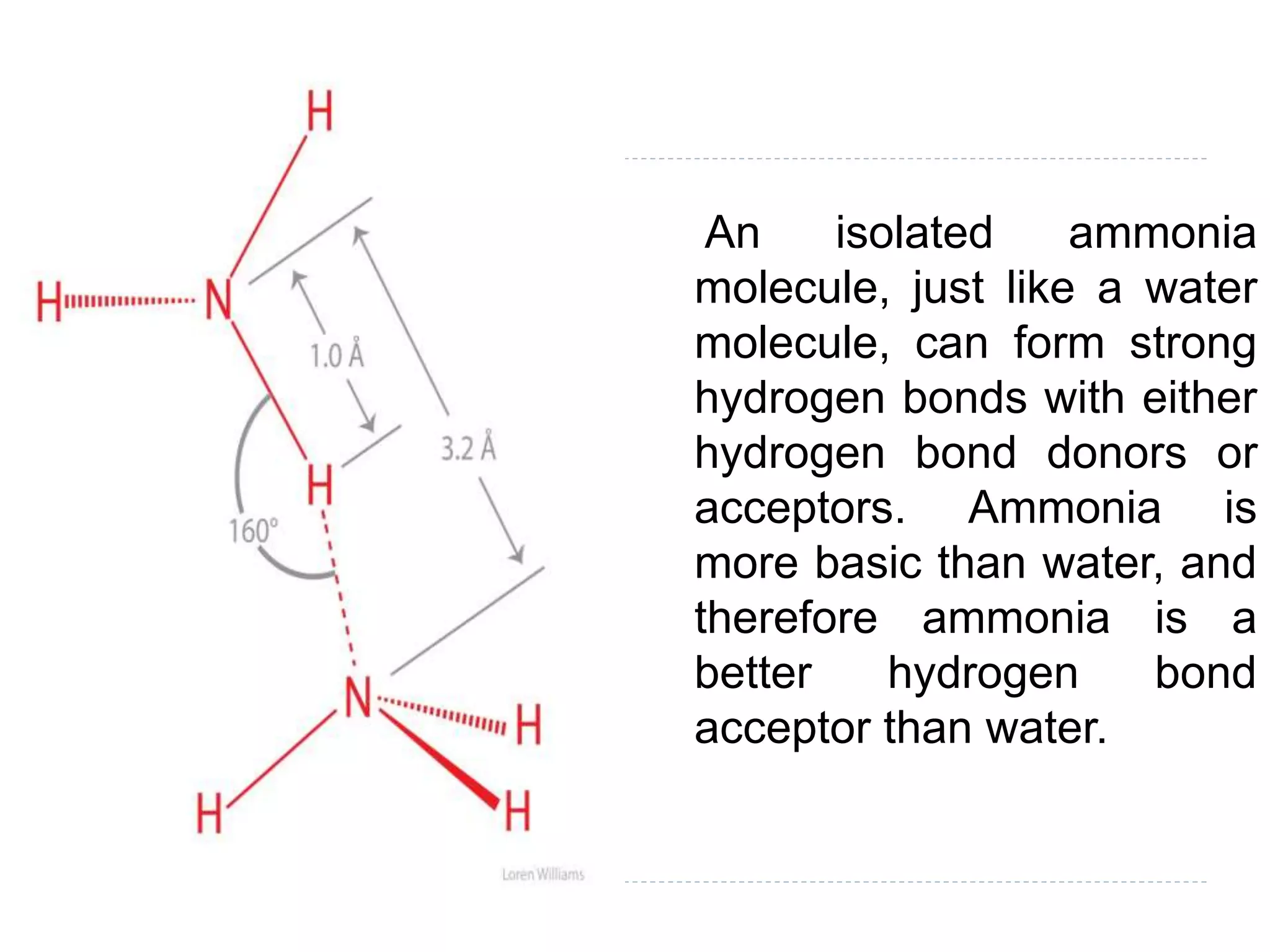 An isolated ammonia
molecule, just like a water
molecule, can form strong
hydrogen bonds with either
hydrogen bond donors or
acceptors. Ammonia is
more basic than water, and
therefore ammonia is a
better hydrogen bond
acceptor than water.
 