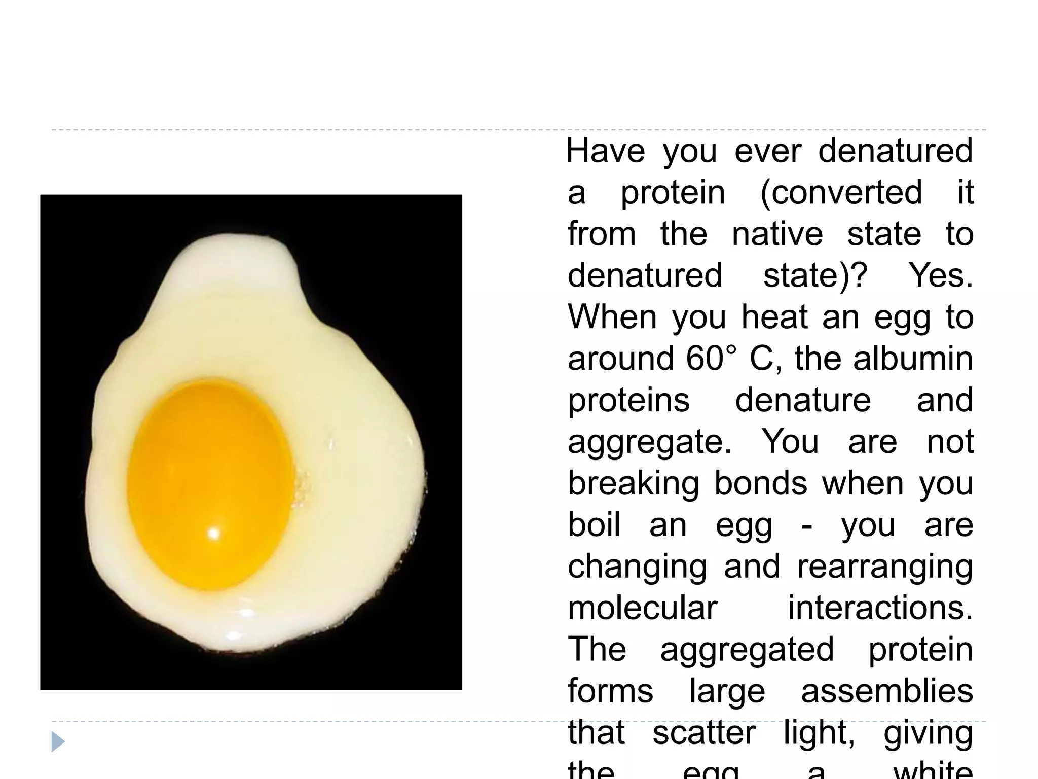 Have you ever denatured
a protein (converted it
from the native state to
denatured state)? Yes.
When you heat an egg to
around 60° C, the albumin
proteins denature and
aggregate. You are not
breaking bonds when you
boil an egg - you are
changing and rearranging
molecular interactions.
The aggregated protein
forms large assemblies
that scatter light, giving
 