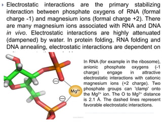  Electrostatic interactions are the primary stabilizing
interaction between phosphate oxygens of RNA (formal
charge -1) and magnesium ions (formal charge +2). There
are many magnesium ions associated with RNA and DNA
in vivo. Electrostatic interactions are highly attenuated
(dampened) by water. In protein folding, RNA folding and
DNA annealing, electrostatic interactions are dependent on
salt concentration and pH.
In RNA (for example in the ribosome),
anionic phosphate oxygens (-1
charge) engage in attractive
electrostatic interactions with cationic
magnesium ions (+2 charge). Two
phosphate groups can 'clamp' onto
the Mg2+ ion. The O to Mg2+ distance
is 2.1 Å. The dashed lines represent
favorable electrostatic interactions.
 