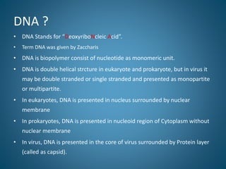DNA ?
• DNA Stands for “DeoxyriboNcleic Acid”.
• Term DNA was given by Zaccharis
• DNA is biopolymer consist of nucleotide as monomeric unit.
• DNA is double helical strcture in eukaryote and prokaryote, but in virus it
may be double stranded or single stranded and presented as monopartite
or multipartite.
• In eukaryotes, DNA is presented in nucleus surrounded by nuclear
membrane
• In prokaryotes, DNA is presented in nucleoid region of Cytoplasm without
nuclear membrane
• In virus, DNA is presented in the core of virus surrounded by Protein layer
(called as capsid).
 