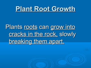 Plant Root Growth

Plants roots can grow into
 cracks in the rock, slowly
 breaking them apart.
 