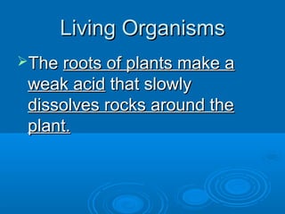 Living Organisms
The roots of plants make a
 weak acid that slowly
 dissolves rocks around the
 plant.
 
