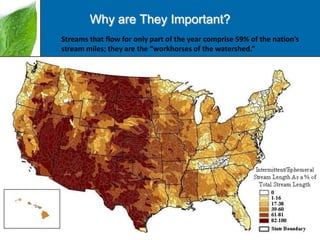 Why are They Important?
Streams that flow for only part of the year comprise 59% of the nation’s
stream miles; they are the “workhorses of the watershed.”

 