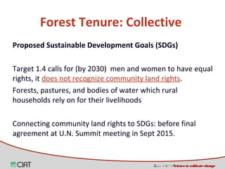 Land tenure, access and social diversity in Latin America 