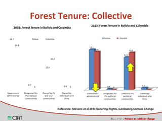 Land tenure, access and social diversity in Latin America 