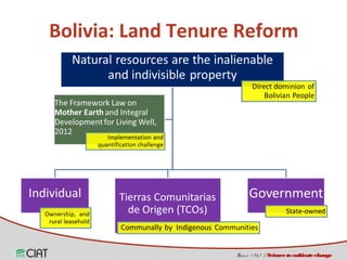 Land tenure, access and social diversity in Latin America 