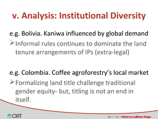 Land tenure, access and social diversity in Latin America 