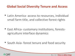 Land tenure, access and social diversity in Latin America 