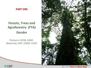 Land tenure, access and social diversity in Latin America 