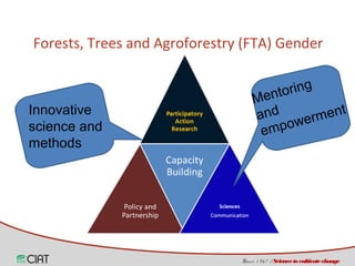 Land tenure, access and social diversity in Latin America 