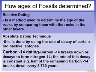 FOR CO EVIDENCE OF EVOLUTION.ppt