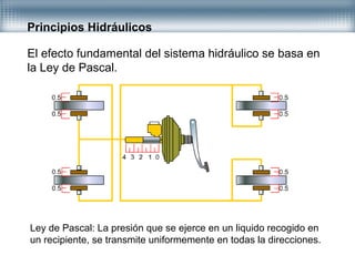 Principios Hidráulicos
El efecto fundamental del sistema hidráulico se basa en
la Ley de Pascal.
Ley de Pascal: La presión que se ejerce en un liquido recogido en
un recipiente, se transmite uniformemente en todas la direcciones.
 