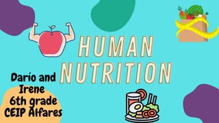HUMAN
HUMAN
NUTRITION
NUTRITION
Darío and
Irene
6th grade
CEIP Alfares
 