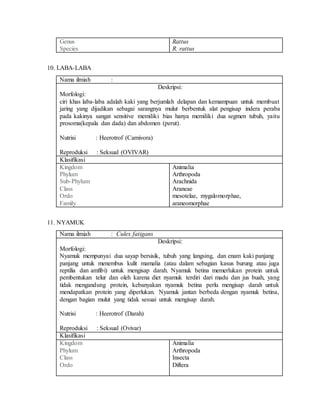 Genus
Species
Rattus
R. rattus
10. LABA-LABA
Nama ilmiah :
Deskripsi:
Morfologi:
ciri khas laba-laba adalah kaki yang berjumlah delapan dan kemampuan untuk membuat
jaring yang dijadikan sebagai sarangnya mulut berbentuk alat pengisap indera peraba
pada kakinya sangat sensitive memiliki bias hanya memiliki dua segmen tubuh, yaitu
prosoma(kepala dan dada) dan abdomen (perut).
Nutrisi : Heerotrof (Carnivora)
Reproduksi : Seksual (OVIVAR)
Klasifikasi
Kingdom
Phylum
Sub-Phylum
Class
Ordo
Family
Animalia
Arthropoda
Arachnida
Araneae
mesotelae, mygalomorphae,
araneomorphae
11. NYAMUK
Nama ilmiah : Culex fatigans
Deskripsi:
Morfologi:
Nyamuk mempunyai dua sayap bersisik, tubuh yang langsing, dan enam kaki panjang
panjang untuk menembus kulit mamalia (atau dalam sebagian kasus burung atau juga
reptilia dan amfibi) untuk mengisap darah. Nyamuk betina memerlukan protein untuk
pembentukan telur dan oleh karena diet nyamuk terdiri dari madu dan jus buah, yang
tidak mengandung protein, kebanyakan nyamuk betina perlu mengisap darah untuk
mendapatkan protein yang diperlukan. Nyamuk jantan berbeda dengan nyamuk betina,
dengan bagian mulut yang tidak sesuai untuk mengisap darah.
Nutrisi : Heerotrof (Darah)
Reproduksi : Seksual (Ovivar)
Klasifikasi
Kingdom
Phylum
Class
Ordo
Animalia
Arthropoda
Insecta
Diftera
 