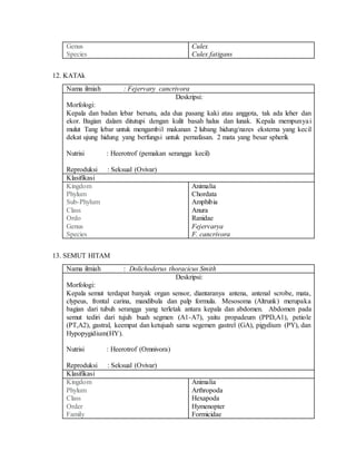 Genus
Species
Culex
Culex fatigans
12. KATAk
Nama ilmiah : Fejervary cancrivora
Deskripsi:
Morfologi:
Kepala dan badan lebar bersatu, ada dua pasang kaki atau anggota, tak ada leher dan
ekor. Bagian dalam ditutupi dengan kulit basah halus dan lunak. Kepala mempunyai
mulut Tang lebar untuk mengambil makanan 2 lubang hidung/nares eksterna yang kecil
dekat ujung hidung yang berfungsi untuk pernafasan. 2 mata yang besar spherik
Nutrisi : Heerotrof (pemakan serangga kecil)
Reproduksi : Seksual (Ovivar)
Klasifikasi
Kingdom
Phylum
Sub-Phylum
Class
Ordo
Genus
Species
Animalia
Chordata
Amphibia
Anura
Ranidae
Fejervarya
F. cancrivora
13. SEMUT HITAM
Nama ilmiah : Dolichoderus thoracicus Smith
Deskripsi:
Morfologi:
Kepala semut terdapat banyak organ sensor, diantaranya antena, antenal scrobe, mata,
clypeus, frontal carina, mandibula dan palp formula. Mesosoma (Altrunk) merupaka
bagian dari tubuh serangga yang terletak antara kepala dan abdomen. Abdomen pada
semut tediri dari tujuh buah segmen (A1-A7), yaitu propadeum (PPD,A1), petiole
(PT,A2), gastral, keempat dan ketujuah sama segemen gastrel (GA), pigydium (PY), dan
Hypopygidium(HY).
Nutrisi : Heerotrof (Omnivora)
Reproduksi : Seksual (Ovivar)
Klasifikasi
Kingdom
Phylum
Class
Order
Family
Animalia
Arthropoda
Hexapoda
Hymenopter
Formicidae
 