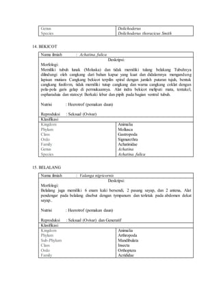 Genus
Species
Dolichoderus
Dolichoderus thoracicus Smith
14. BEKICOT
Nama ilmiah : Achatina. fulica
Deskripsi:
Morfologi:
Memiliki tubuh lunak (Moluska) dan tidak memiliki tulang belakang Tubuhnya
dilindungi oleh cangkang dari bahan kapue yang kuat dan didalamnya mengandung
lapisan mutiara Cangkang bekicot terpilin spiral dengan jumlah putaran tujuh, bentuk
cangkang fusiform, tidak memiliki tutup cangkang dan warna cangkang coklat dengan
pola-pola garis gelap di permukaannya. Alat indra bekicot meliputi mata, tentakel,
ospharaduia dan statocyt Berkaki lebar dan pipih pada bagian ventral tubuh.
Nutrisi : Heerotrof (pemakan daun)
Reproduksi : Seksual (Ovivar)
Klasifikasi
Kingdom
Phylum
Class
Ordo
Family
Genus
Species
Animalia
Mollusca
Gastropoda
Sigmurethra
Achatinidae
Achatina
Achatina. fulica
15. BELALANG
Nama ilmiah : Valanga nigricornis
Deskripsi:
Morfologi:
Belalang juga memiliki 6 enam kaki bersendi, 2 pasang sayap, dan 2 antena, Alat
pendengar pada belalang disebut dengan tympanum dan terletak pada abdomen dekat
sayap..
Nutrisi : Heerotrof (pemakan daun)
Reproduksi : Seksual (Ovivar) dan Generatif
Klasifikasi
Kingdom
Phylum
Sub-Phylum
Class
Ordo
Family
Animalia
Arthropoda
Mandibulata
Insecta
Orthoptera
Acrididae
 