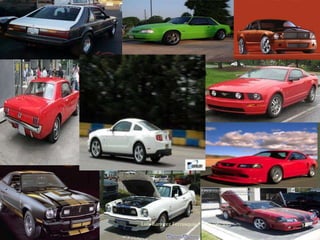 Luis Ramirez Ferrusquia   04/06/2012   18
 