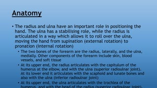 Radial Rotation Forema Forearm fractures | PPTX