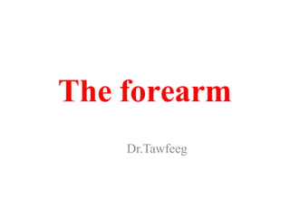 The forearm
Dr.Tawfeeg
 