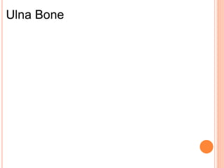 Forearm bones | PPTX