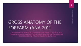 GROSS ANATOMY OF THE
FOREARM (ANA 201)
DEPARTMENT OF ANATOMY, FACULTY OF BASIC MEDICAL SCIENCES, ALEX
EKWUEME FEDERAL UNIVERSITY NDUFU ALIKE IKWO, EBONYI STATE NIGERIA,
+2348068638121 (WHATSAPP), OBAJE199@GMAIL.COM
1
 