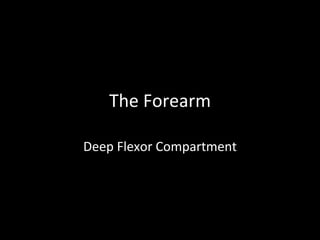 The Forearm
Deep Flexor Compartment
 