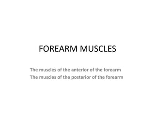 FOREARM MUSCLES
The muscles of the anterior of the forearm
The muscles of the posterior of the forearm
 