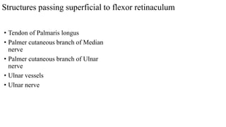 Structures passing superficial to flexor retinaculum
• Tendon of Palmaris longus
• Palmer cutaneous branch of Median
nerve
• Palmer cutaneous branch of Ulnar
nerve
• Ulnar vessels
• Ulnar nerve
 