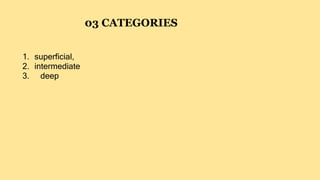 1. superficial,
2. intermediate
3. deep
03 CATEGORIES
 