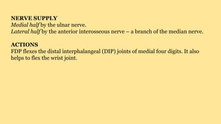 NERVE SUPPLY
Medial half by the ulnar nerve.
Lateral half by the anterior interosseous nerve – a branch of the median nerve.
ACTIONS
FDP flexes the distal interphalangeal (DIP) joints of medial four digits. It also
helps to flex the wrist joint.
 