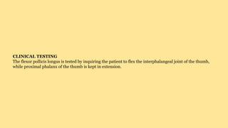 CLINICAL TESTING
The flexor pollicis longus is tested by inquiring the patient to flex the interphalangeal joint of the thumb,
while proximal phalanx of the thumb is kept in extension.
 
