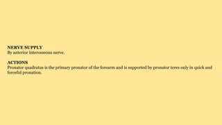 NERVE SUPPLY
By anterior interosseous nerve.
ACTIONS
Pronator quadratus is the primary pronator of the forearm and is supported by pronator teres only in quick and
forceful pronation.
 