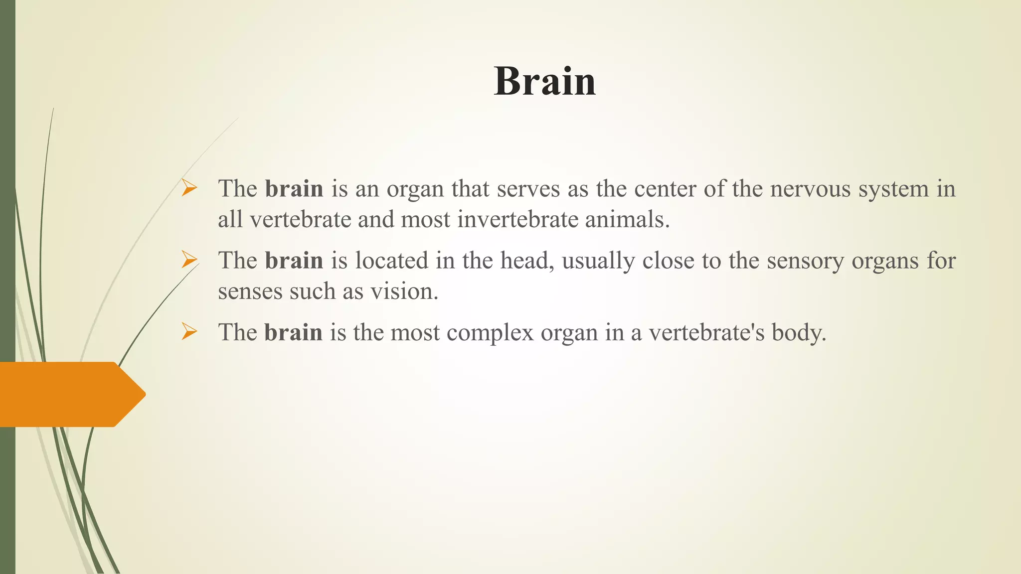 Brain
 The brain is an organ that serves as the center of the nervous system in
all vertebrate and most invertebrate animals.
 The brain is located in the head, usually close to the sensory organs for
senses such as vision.
 The brain is the most complex organ in a vertebrate's body.
 