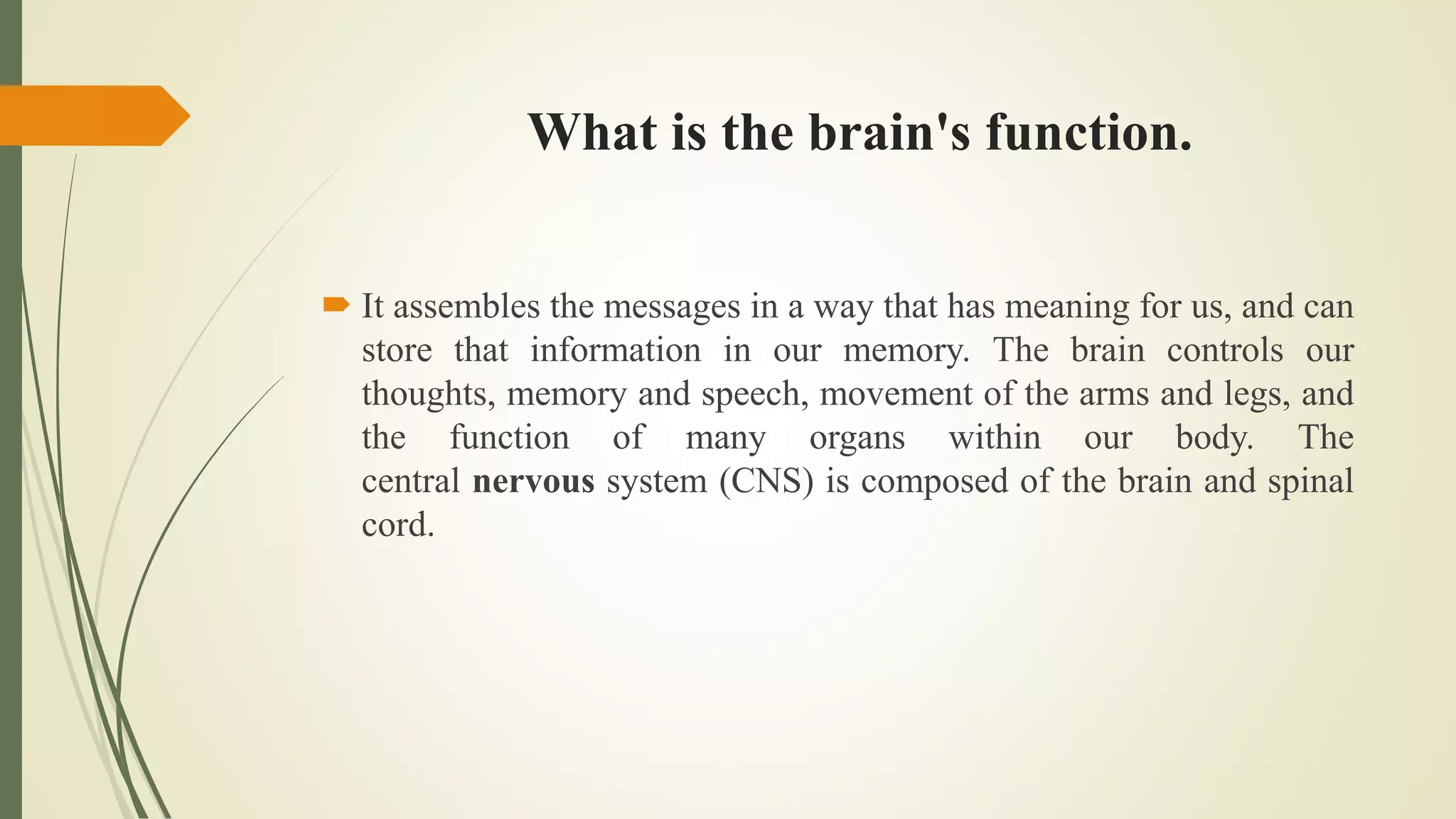 What is the brain's function.
 It assembles the messages in a way that has meaning for us, and can
store that information in our memory. The brain controls our
thoughts, memory and speech, movement of the arms and legs, and
the function of many organs within our body. The
central nervous system (CNS) is composed of the brain and spinal
cord.
 