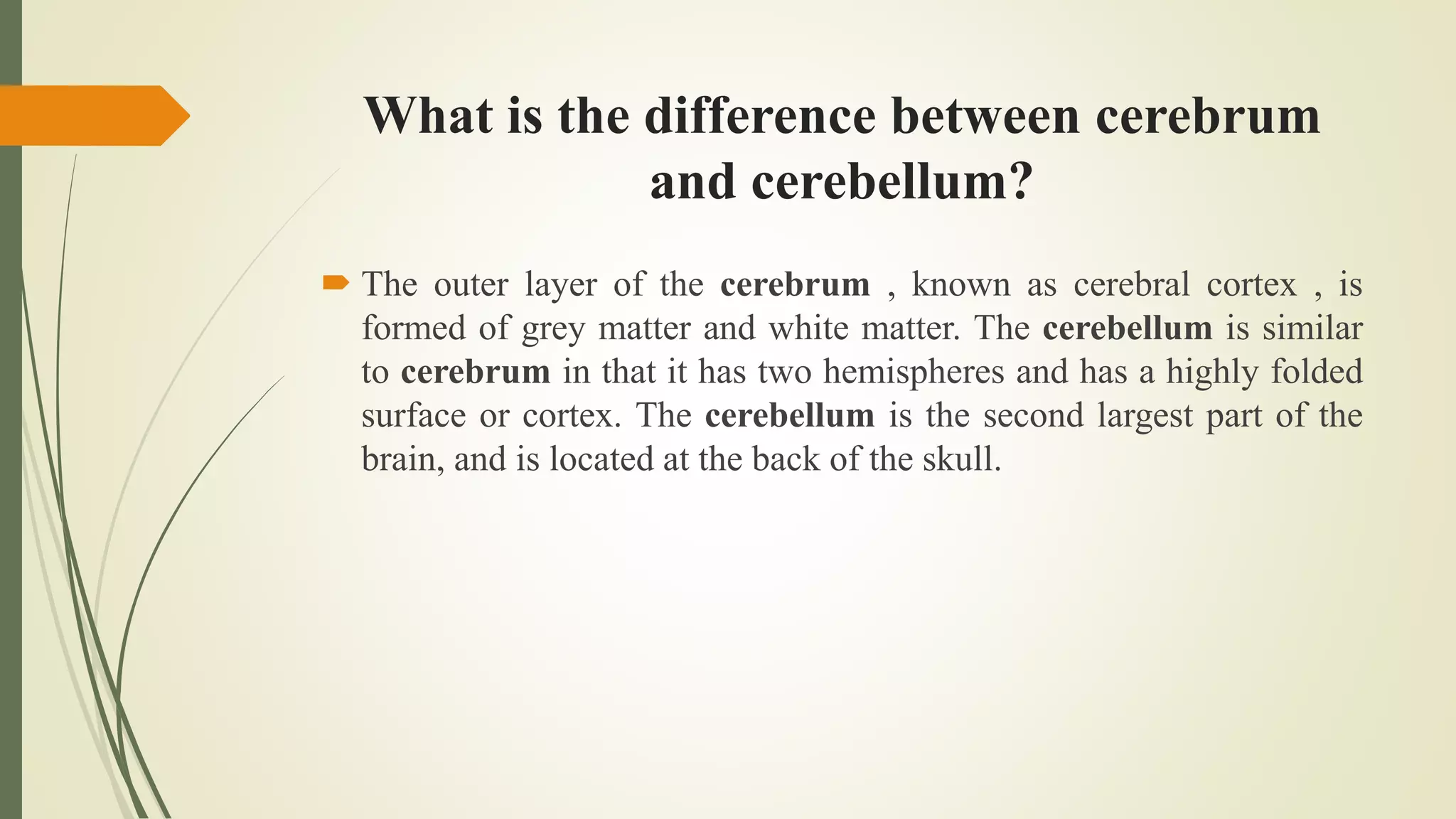 What is the difference between cerebrum
and cerebellum?
 The outer layer of the cerebrum , known as cerebral cortex , is
formed of grey matter and white matter. The cerebellum is similar
to cerebrum in that it has two hemispheres and has a highly folded
surface or cortex. The cerebellum is the second largest part of the
brain, and is located at the back of the skull.
 