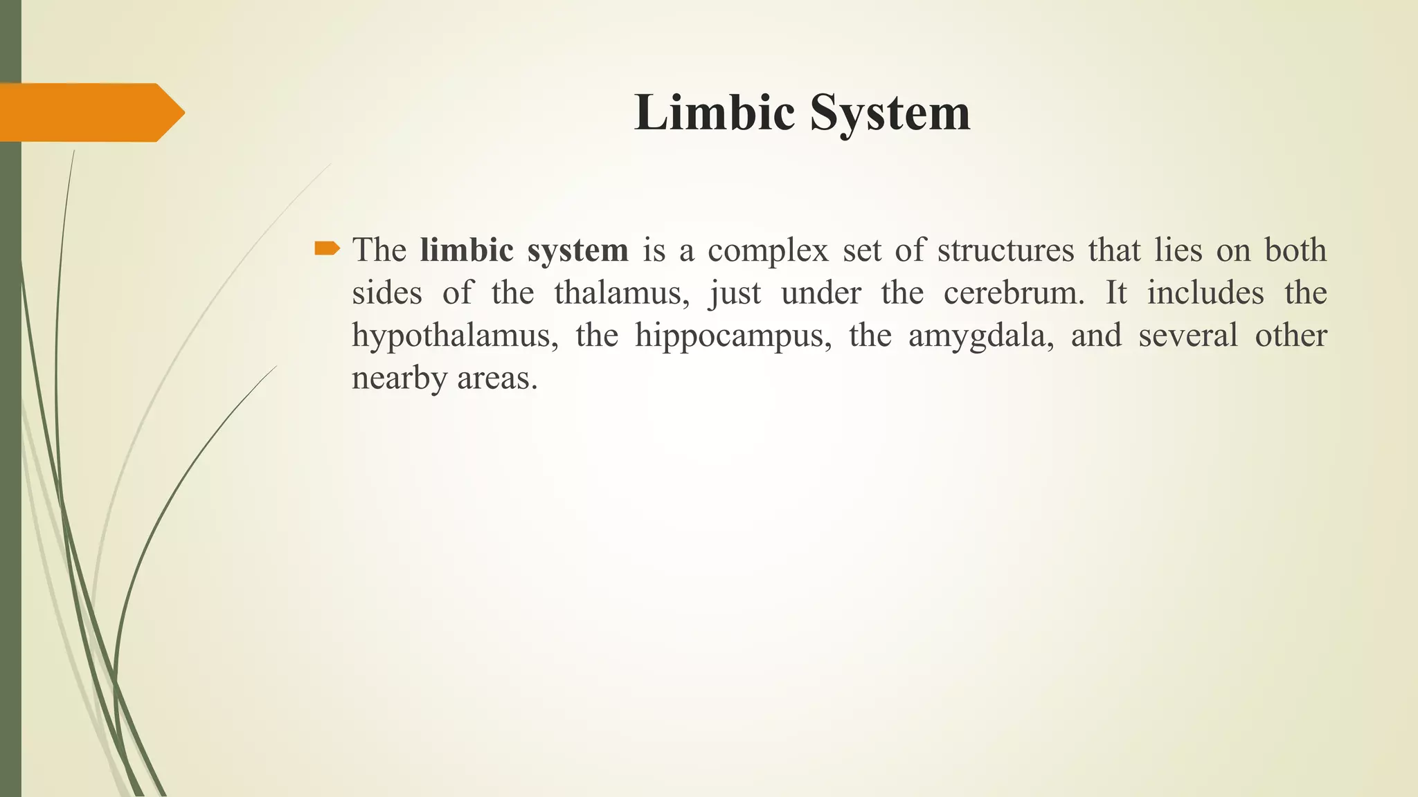 Limbic System
 The limbic system is a complex set of structures that lies on both
sides of the thalamus, just under the cerebrum. It includes the
hypothalamus, the hippocampus, the amygdala, and several other
nearby areas.
 