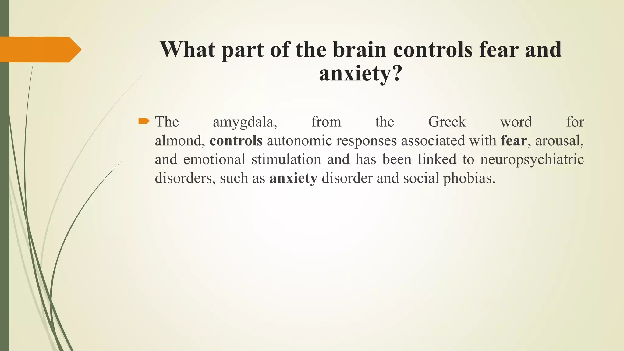 What part of the brain controls fear and
anxiety?
 The amygdala, from the Greek word for
almond, controls autonomic responses associated with fear, arousal,
and emotional stimulation and has been linked to neuropsychiatric
disorders, such as anxiety disorder and social phobias.
 