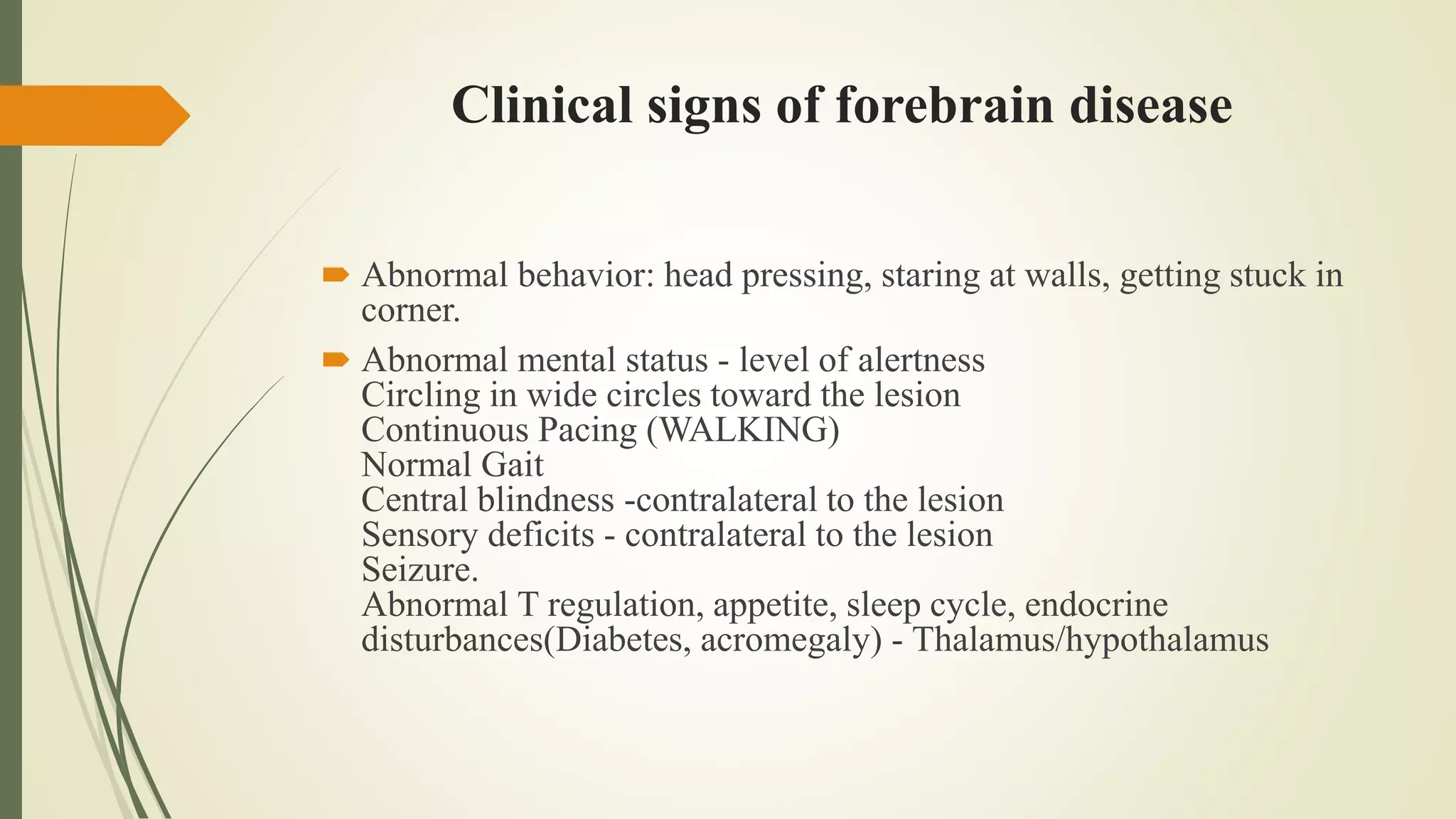 Clinical signs of forebrain disease
 Abnormal behavior: head pressing, staring at walls, getting stuck in
corner.
 Abnormal mental status - level of alertness
Circling in wide circles toward the lesion
Continuous Pacing (WALKING)
Normal Gait
Central blindness -contralateral to the lesion
Sensory deficits - contralateral to the lesion
Seizure.
Abnormal T regulation, appetite, sleep cycle, endocrine
disturbances(Diabetes, acromegaly) - Thalamus/hypothalamus
 