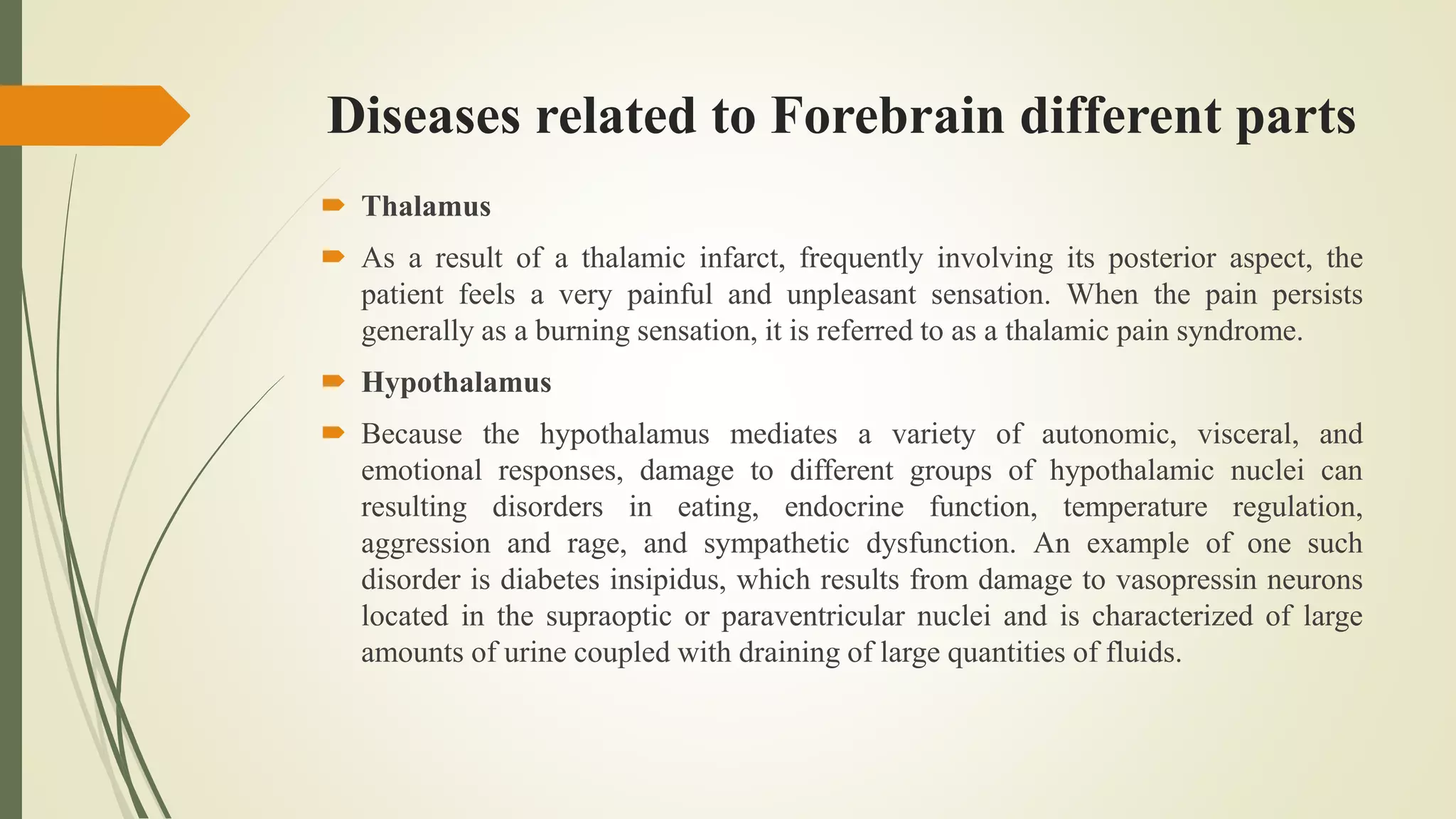 Diseases related to Forebrain different parts
 Thalamus
 As a result of a thalamic infarct, frequently involving its posterior aspect, the
patient feels a very painful and unpleasant sensation. When the pain persists
generally as a burning sensation, it is referred to as a thalamic pain syndrome.
 Hypothalamus
 Because the hypothalamus mediates a variety of autonomic, visceral, and
emotional responses, damage to different groups of hypothalamic nuclei can
resulting disorders in eating, endocrine function, temperature regulation,
aggression and rage, and sympathetic dysfunction. An example of one such
disorder is diabetes insipidus, which results from damage to vasopressin neurons
located in the supraoptic or paraventricular nuclei and is characterized of large
amounts of urine coupled with draining of large quantities of fluids.
 