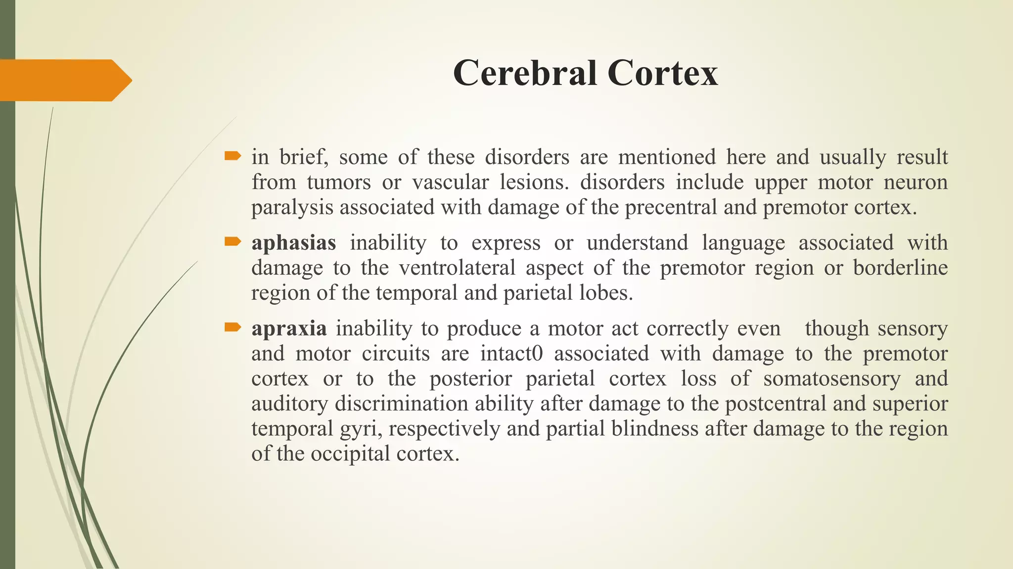 Cerebral Cortex
 in brief, some of these disorders are mentioned here and usually result
from tumors or vascular lesions. disorders include upper motor neuron
paralysis associated with damage of the precentral and premotor cortex.
 aphasias inability to express or understand language associated with
damage to the ventrolateral aspect of the premotor region or borderline
region of the temporal and parietal lobes.
 apraxia inability to produce a motor act correctly even though sensory
and motor circuits are intact0 associated with damage to the premotor
cortex or to the posterior parietal cortex loss of somatosensory and
auditory discrimination ability after damage to the postcentral and superior
temporal gyri, respectively and partial blindness after damage to the region
of the occipital cortex.
 