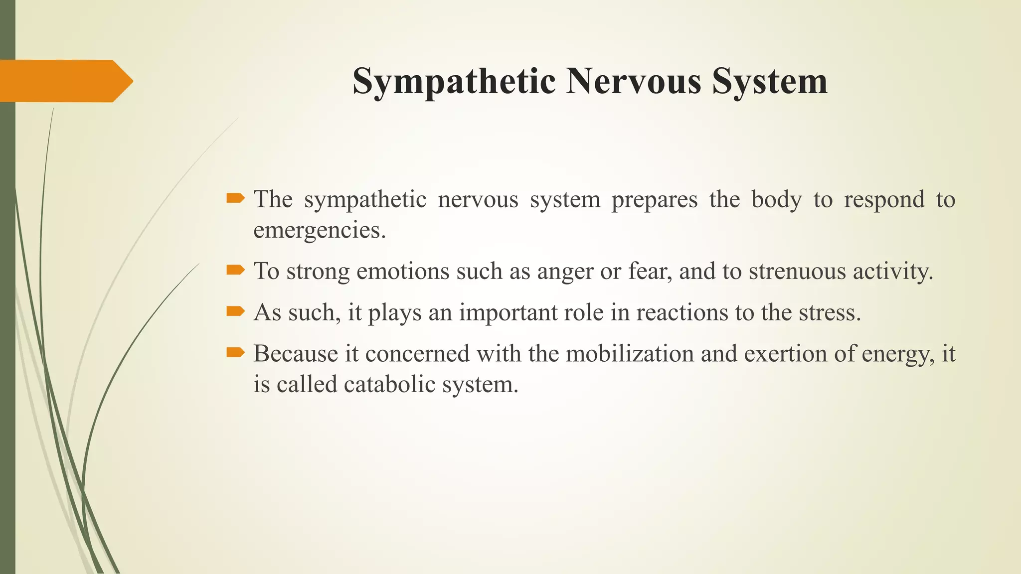 Sympathetic Nervous System
 The sympathetic nervous system prepares the body to respond to
emergencies.
 To strong emotions such as anger or fear, and to strenuous activity.
 As such, it plays an important role in reactions to the stress.
 Because it concerned with the mobilization and exertion of energy, it
is called catabolic system.
 