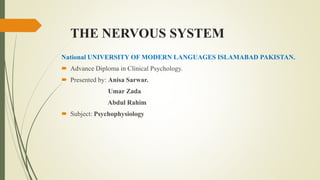 THE NERVOUS SYSTEM
National UNIVERSITY OF MODERN LANGUAGES ISLAMABAD PAKISTAN.
 Advance Diploma in Clinical Psychology.
 Presented by: Anisa Sarwar.
Umar Zada
Abdul Rahim
 Subject: Psychophysiology
 