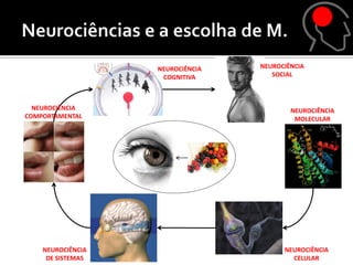 NEUROCIÊNCIA   NEUROCIÊNCIA
                    COGNITIVA        SOCIAL



  NEUROCIÊNCIA                            NEUROCIÊNCIA
COMPORTAMENTAL                             MOLECULAR




    NEUROCIÊNCIA                        NEUROCIÊNCIA
     DE SISTEMAS                          CELULAR
 