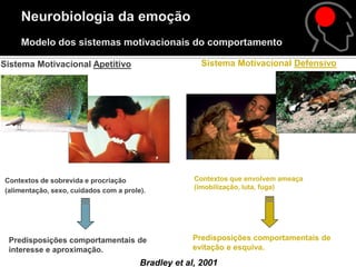 Sistema Motivacional Apetitivo                         Sistema Motivacional Defensivo




Contextos de sobrevida e procriação                  Contextos que envolvem ameaça
(alimentação, sexo, cuidados com a prole).           (imobilização, luta, fuga)




 Predisposições comportamentais de                  Predisposições comportamentais de
 interesse e aproximação.                           evitação e esquiva.
                                        Bradley et al, 2001
 