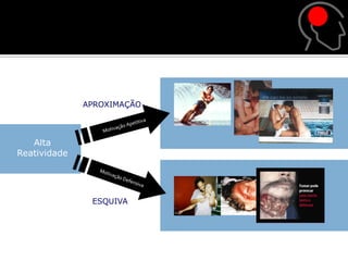 APROXIMAÇÃO



   Alta
Reatividade




               ESQUIVA
 