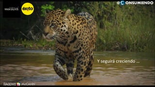 114
Y seguirá creciendo …
@ ONSUMIENDO
CAMILOHERRERA@RADDAR.NET
 