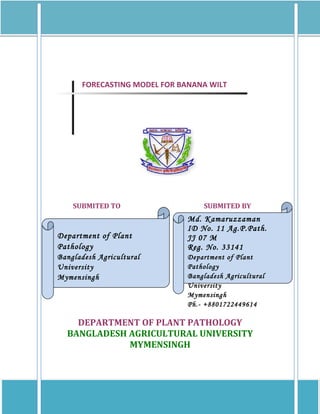 FORECASTING MODEL FOR BANANA WILT




     SUBMITED TO                           SUBMITED BY
                                     Md. Kamaruzzaman
                                     ID No. 11 Ag.P.Path. JJ 07 M
Department of Plant Pathology        Reg. No. 33141
Bangladesh Agricultural University   Department of Plant Pathology
Mymensingh                           Bangladesh Agricultural University
                                     Mymensingh
                                     Ph.- +8801722449614




     DEPARTMENT OF PLANT PATHOLOGY
   BANGLADESH AGRICULTURAL UNIVERSITY
              MYMENSINGH
 
