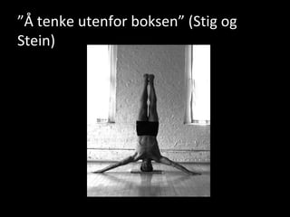 ” Å tenke utenfor boksen” (Stig og Stein) 