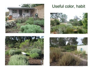 Useful color, habit
© Project SOUND
 